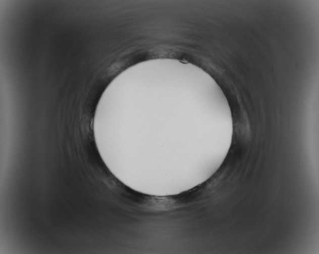 X0000083010429200703021945