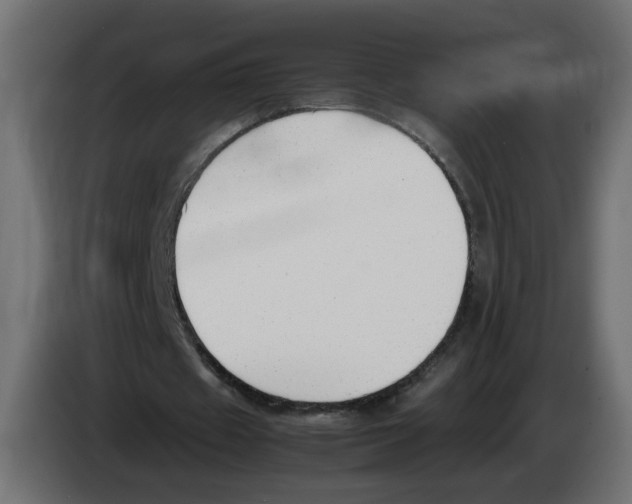 X0000083010433200703021944