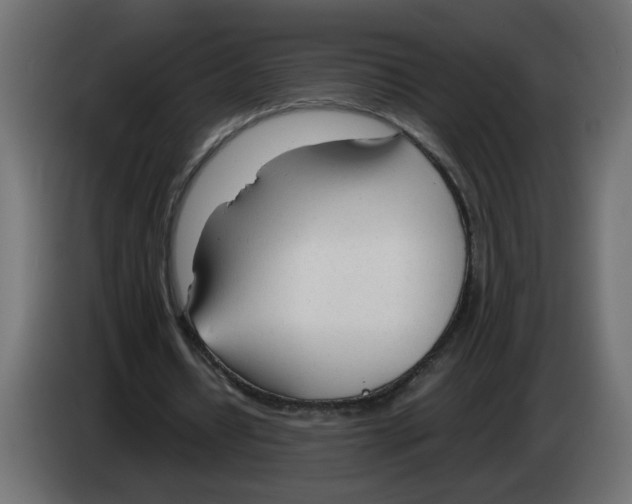 X0000083010434200703021944