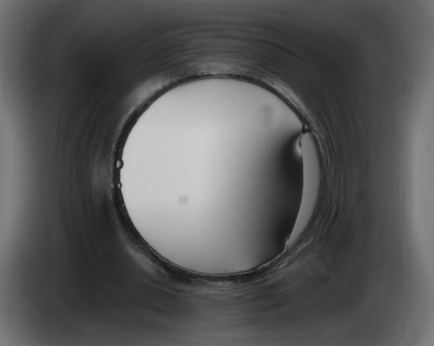 X0000083010438200703021944