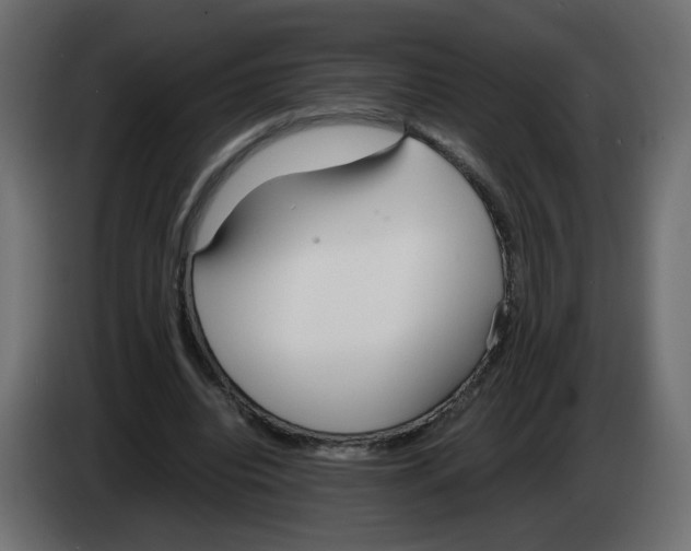 X0000083010440200703021944