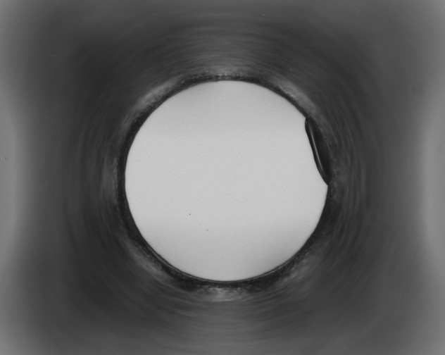 X0000083010442200703021944