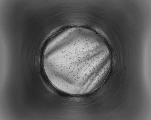 X0000083010444200703021944