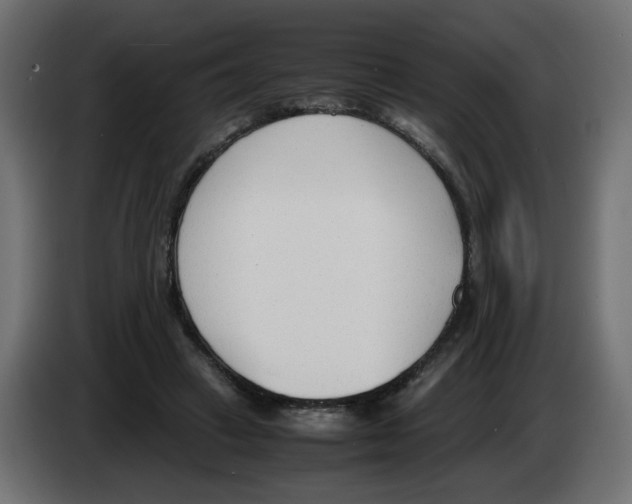 X0000083010449200703021944