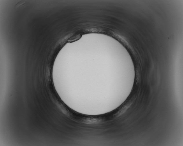 X0000083010453200703021944