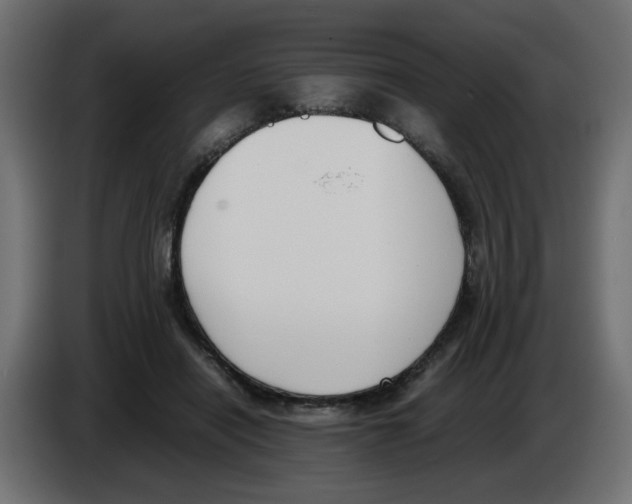 X0000083010454200703021944