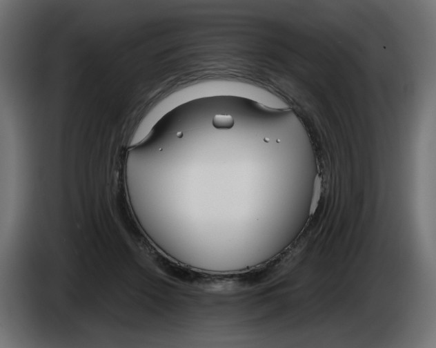 X0000083010456200703021944