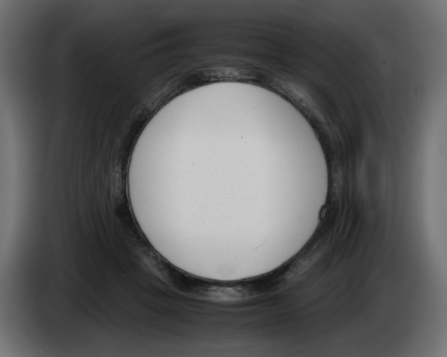 X0000083010457200703021944