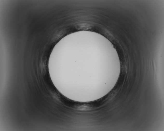 X0000083010460200703021944