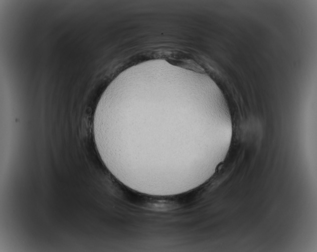 X0000083010467200703021944