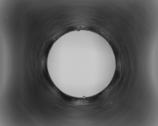 X0000083010468200703021944