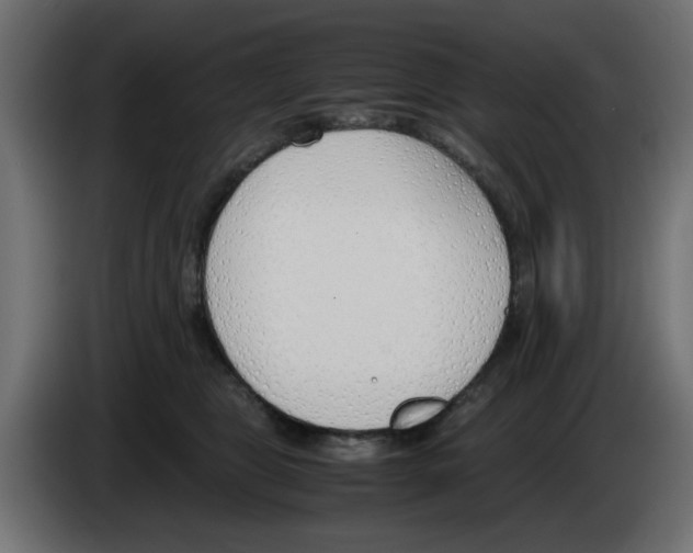 X0000083010469200703021944