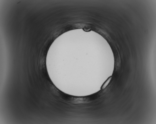 X0000083010473200703021944