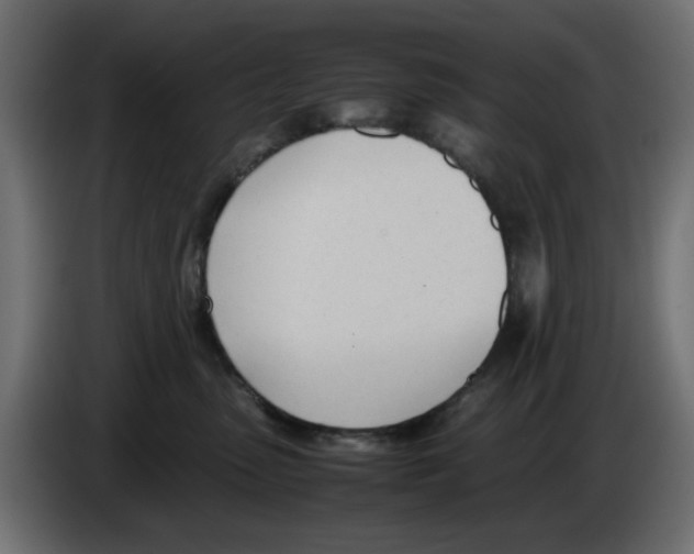 X0000083010475200703021944