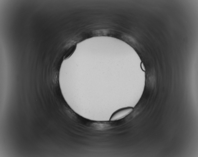 X0000083010477200703021944