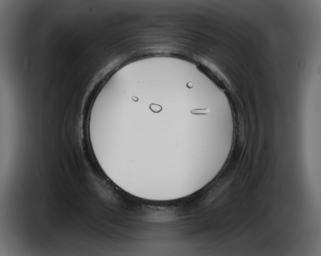 X0000083010486200703021944