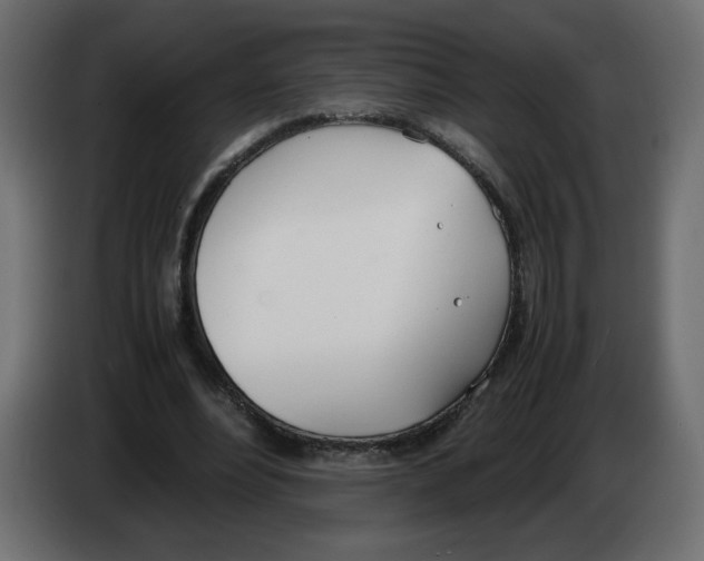 X0000083010488200703021944