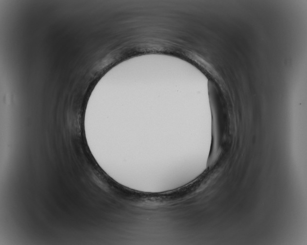 X0000083010489200703021944