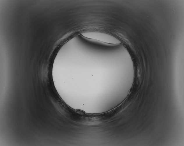 X0000083010492200703021944