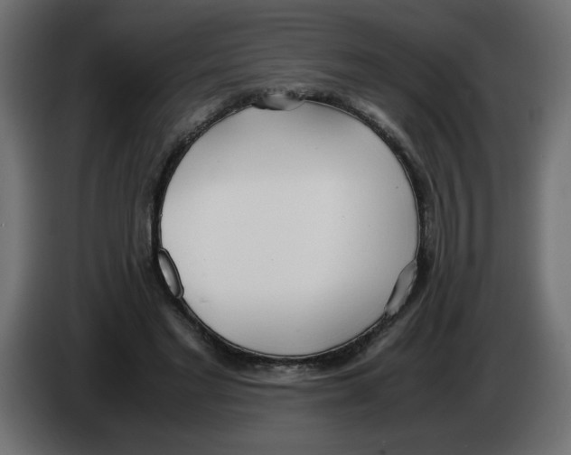 X0000083010493200703021944