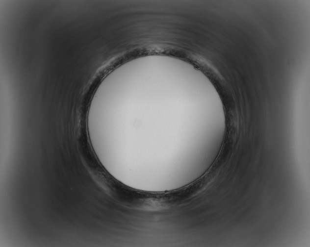 X0000083010496200703021944