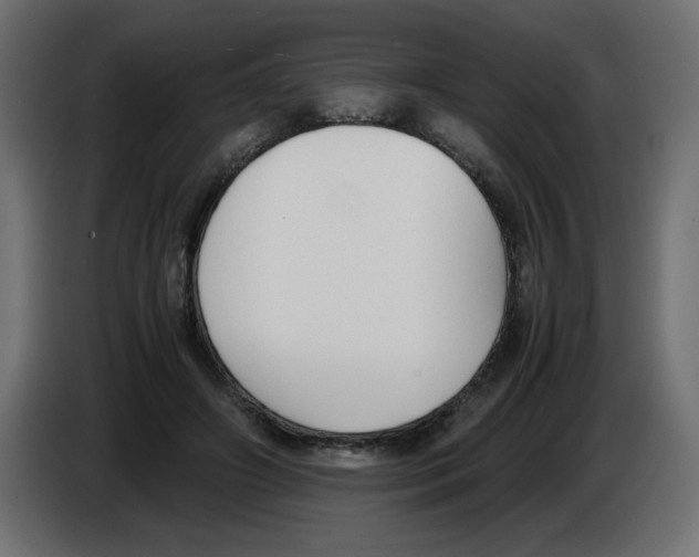 X0000083010498200703021944