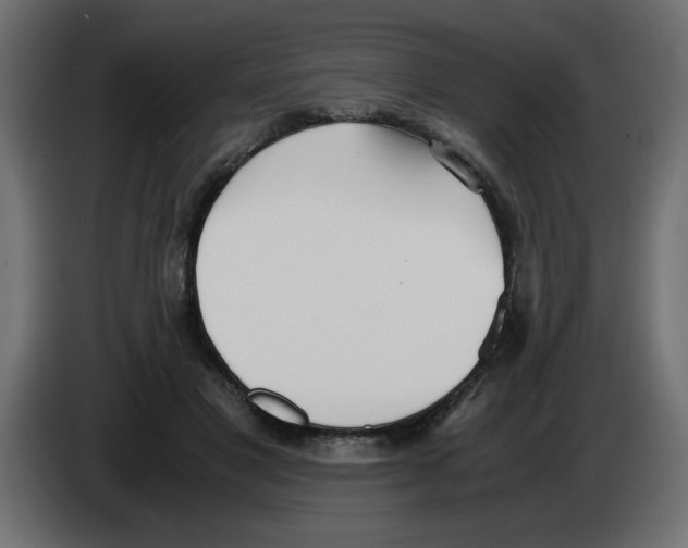 X0000083010501200703021944