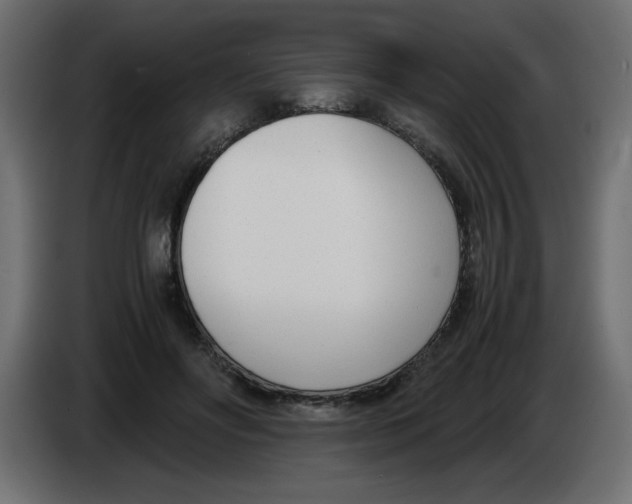 X0000083010502200703021943