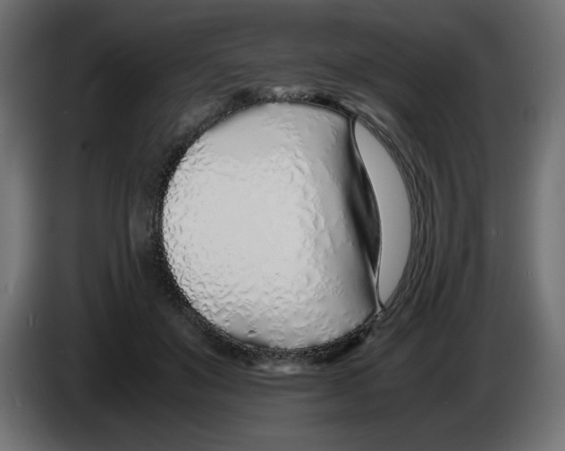 X0000083010503200703021943