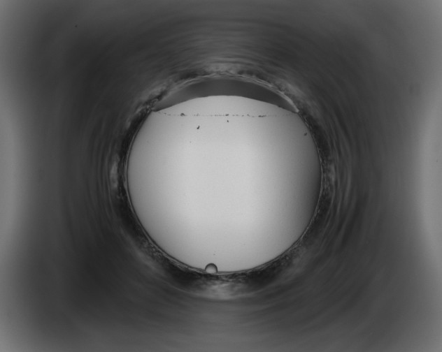 X0000083010504200703021943