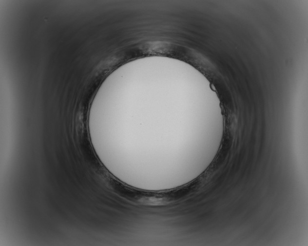 X0000083010506200703021943