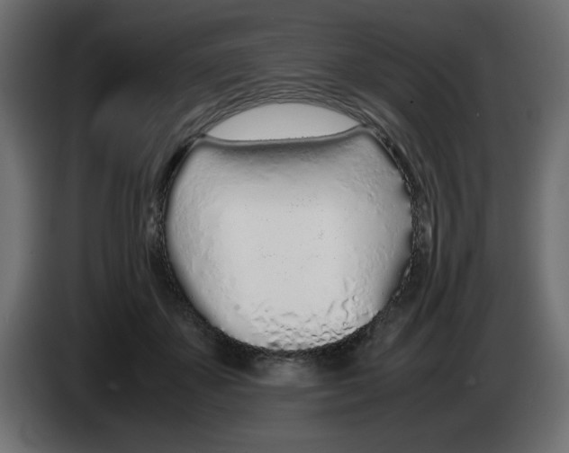 X0000083010507200703021943