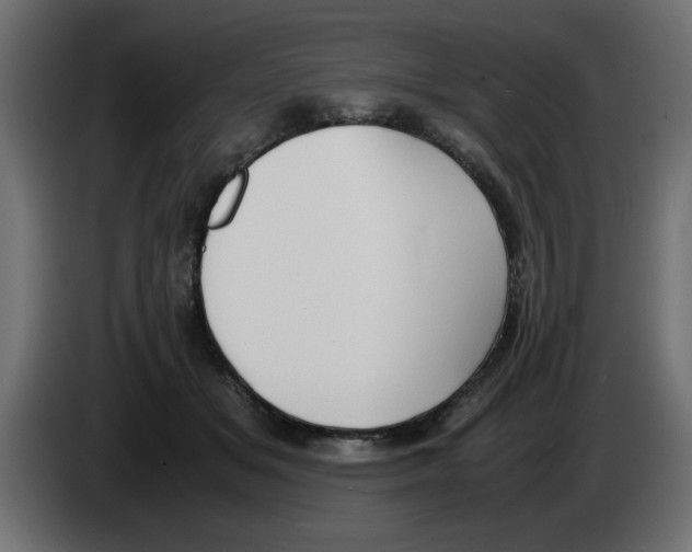 X0000083010509200703021943