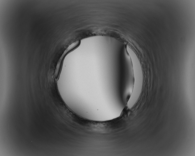 X0000083010513200703021943