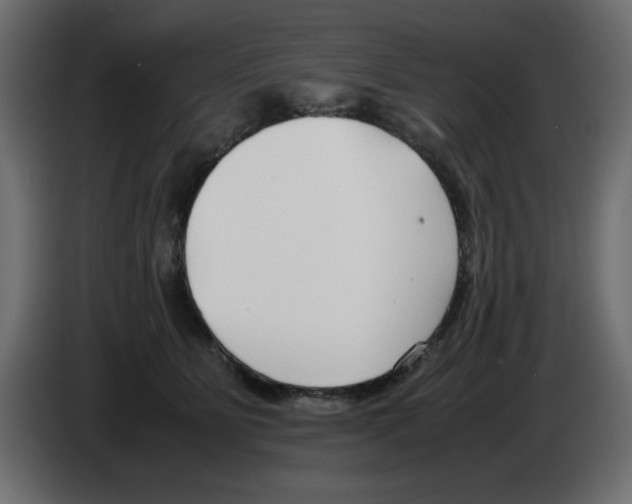 X0000083010515200703021943