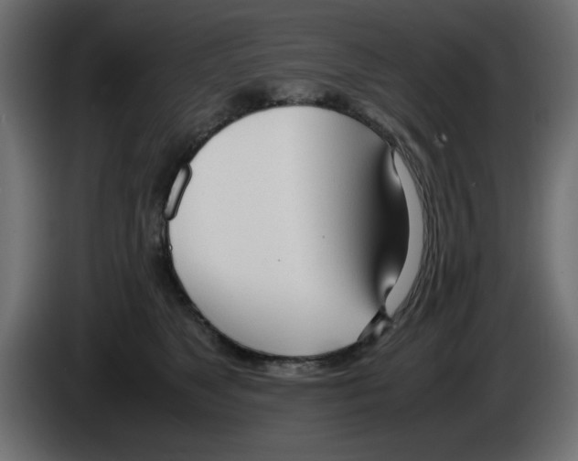 X0000083010517200703021943