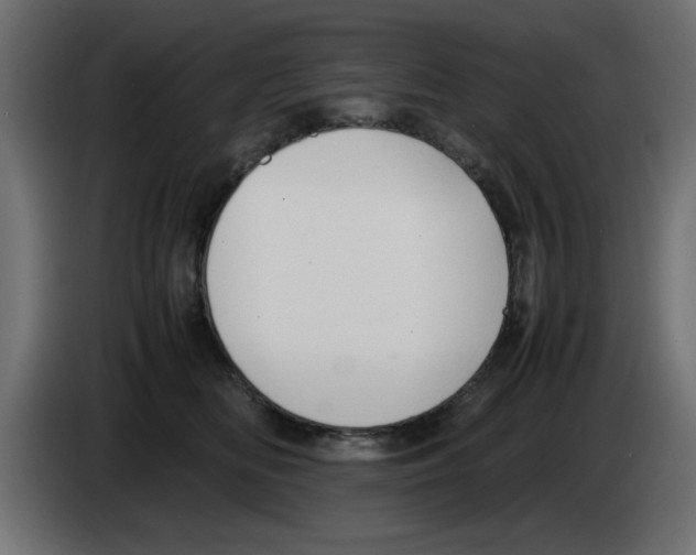 X0000083010518200703021943