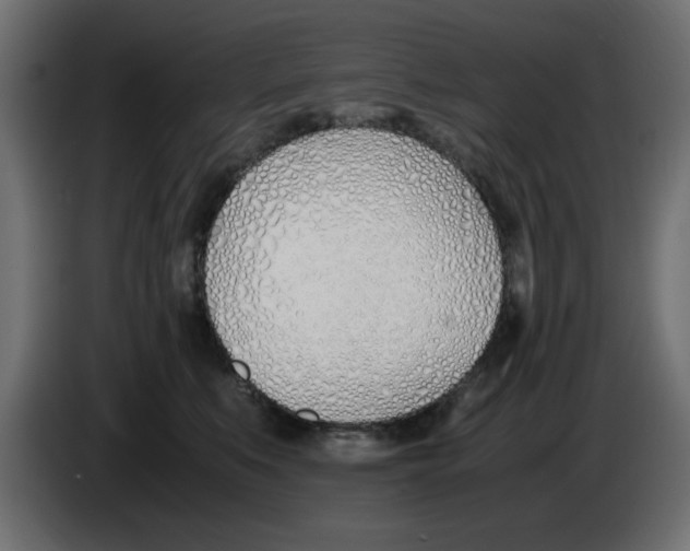 X0000083010519200703021943