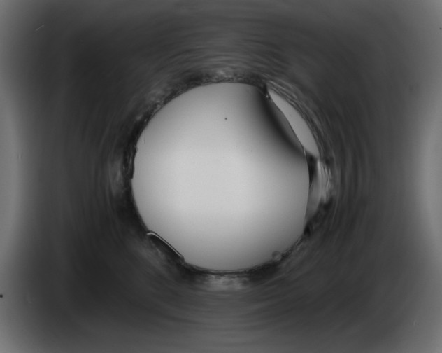 X0000083010520200703021943