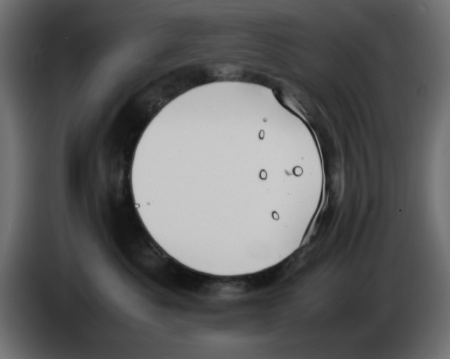 X0000083010525200703021943