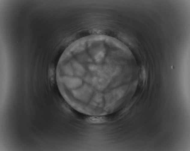 X0000083010526200703021943