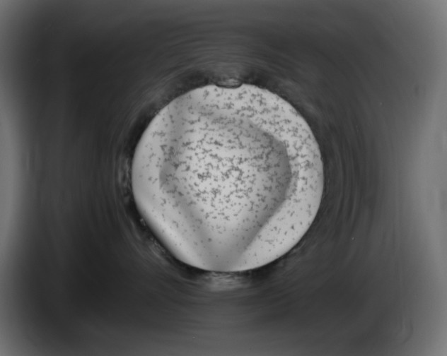 X0000083010528200703021943