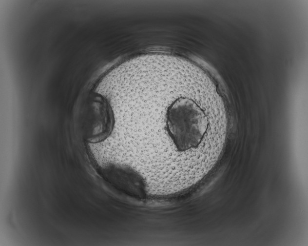 X0000083010529200703021942