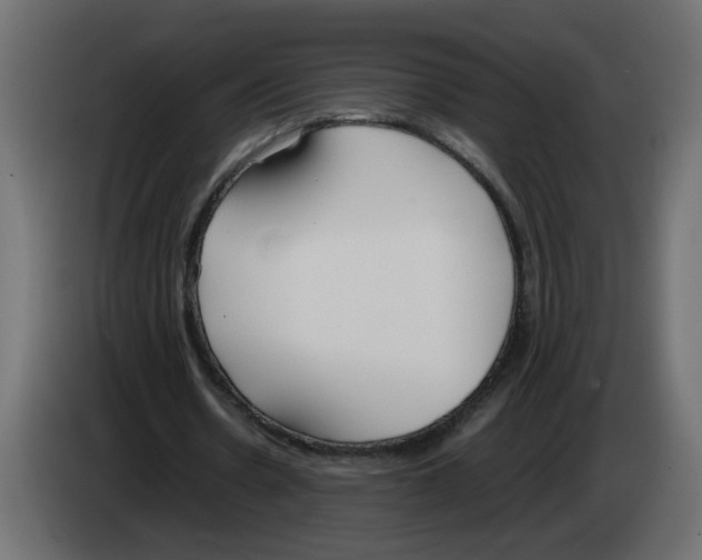 X0000083010530200703021942