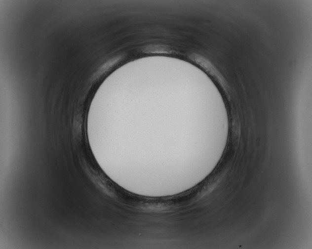 X0000083010533200703021942