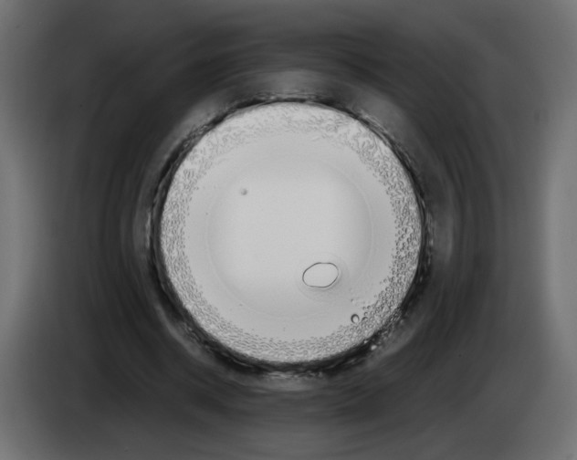 X0000083010534200703021943