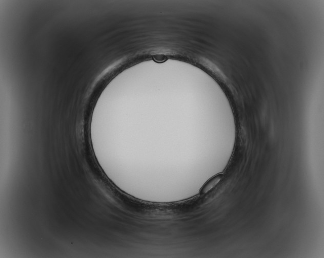 X0000083010535200703021943