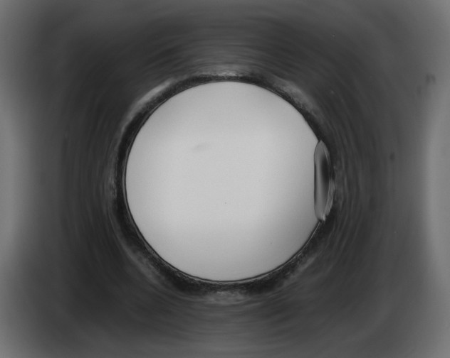 X0000083010536200703021943