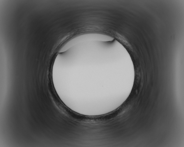 X0000083010538200703021943