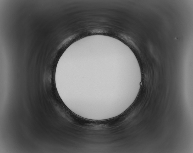 X0000083010539200703021943